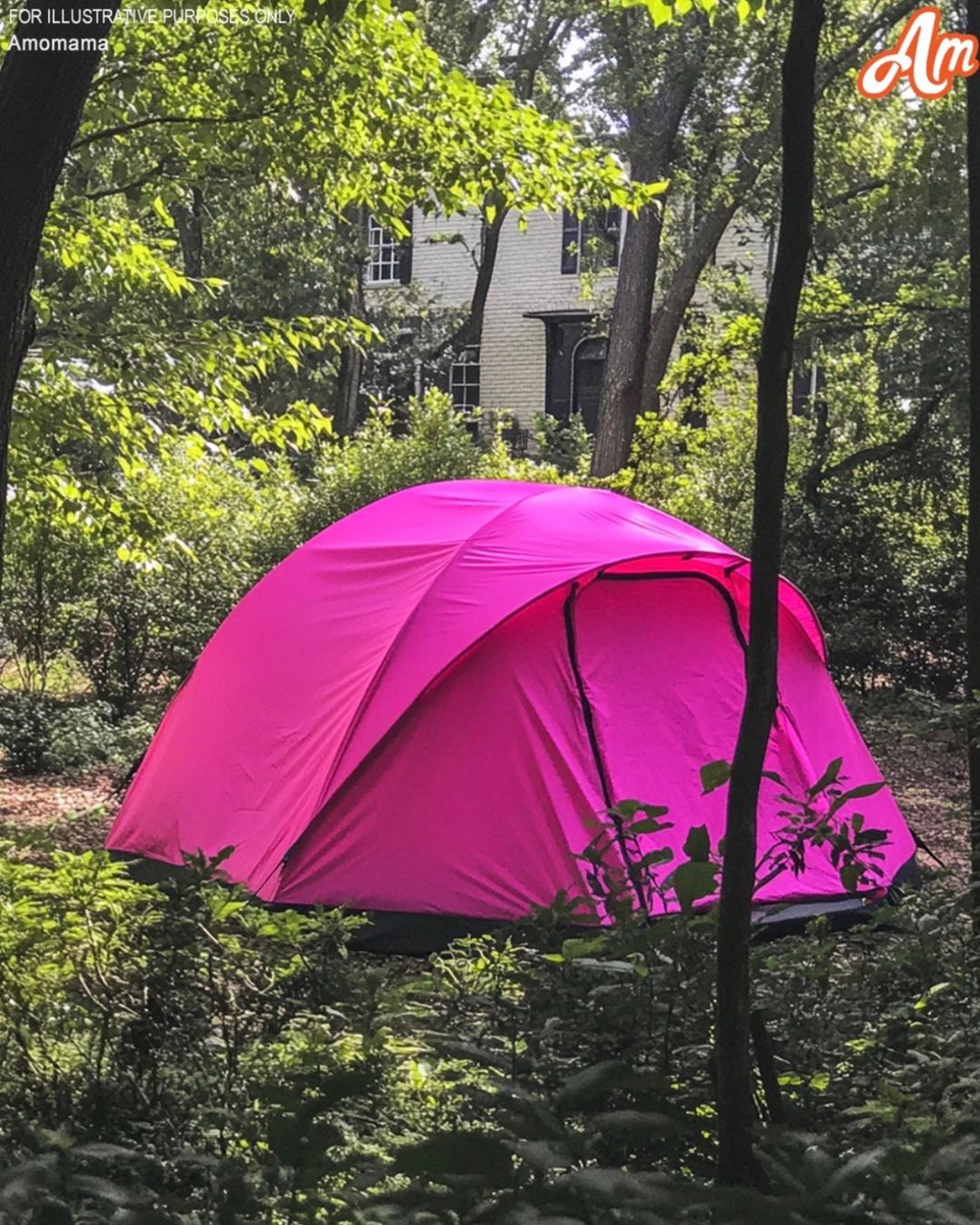 After returning home from my daughter’s funeral, I discovered a tent in my backyard — what I found inside left me in shock