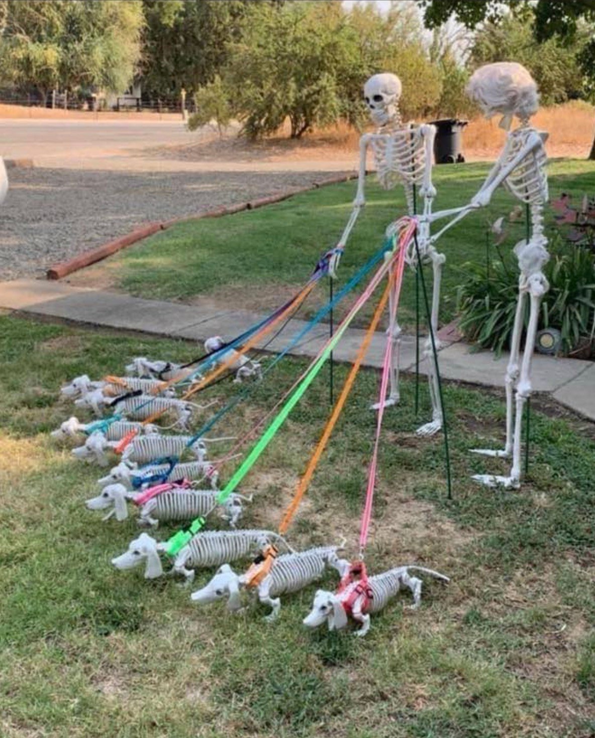 Neighbor’s Hilarious Response to Halloween Decoration Criticism Went Viral!