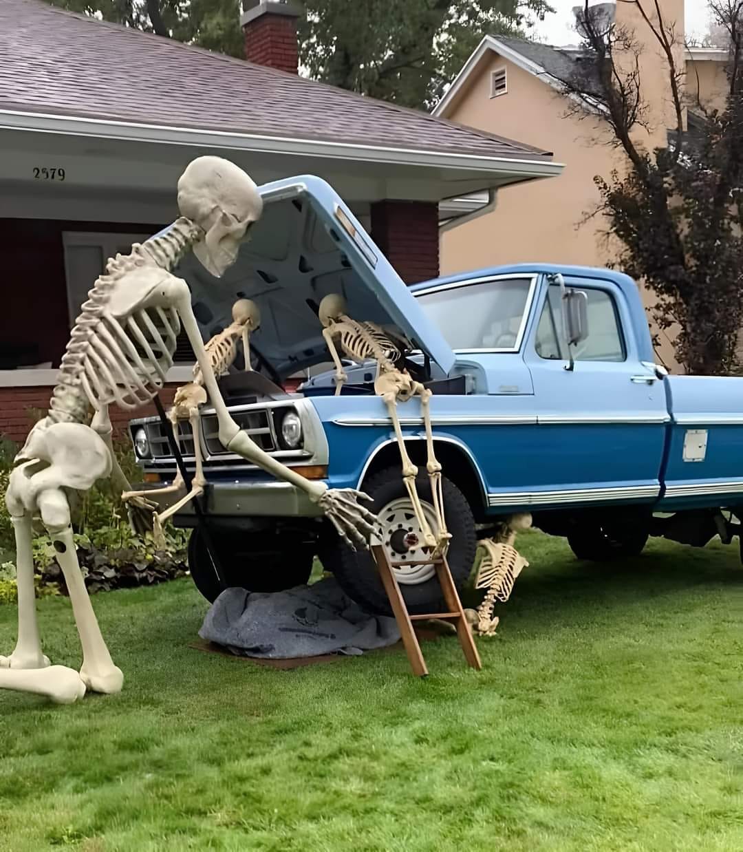 Neighbor’s Hilarious Response to Halloween Decoration Criticism Went Viral!