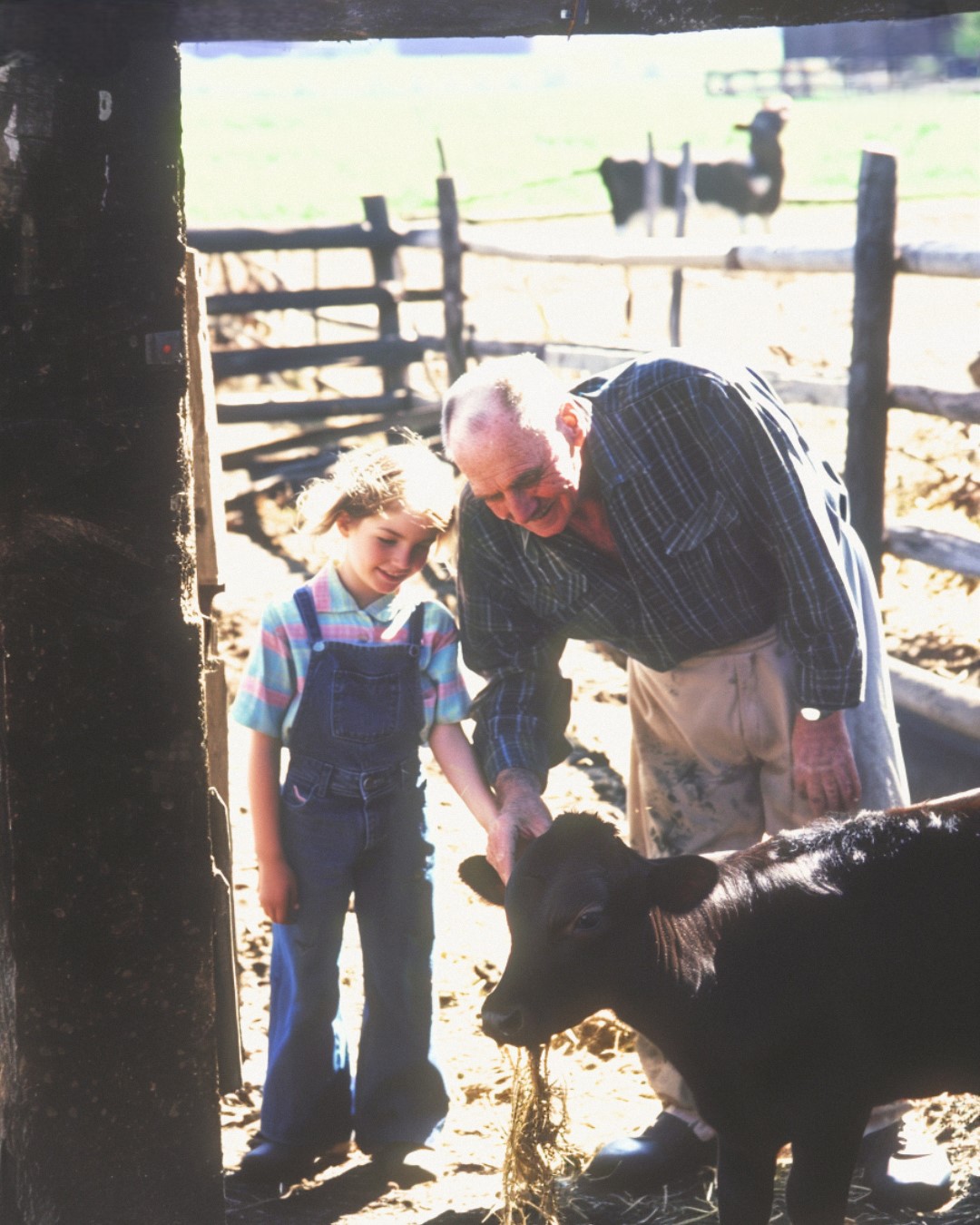 Woman Arrives at the Farm She Inherited from Her Grandfather to Sell It, but a Farmhand Stands in Her Way