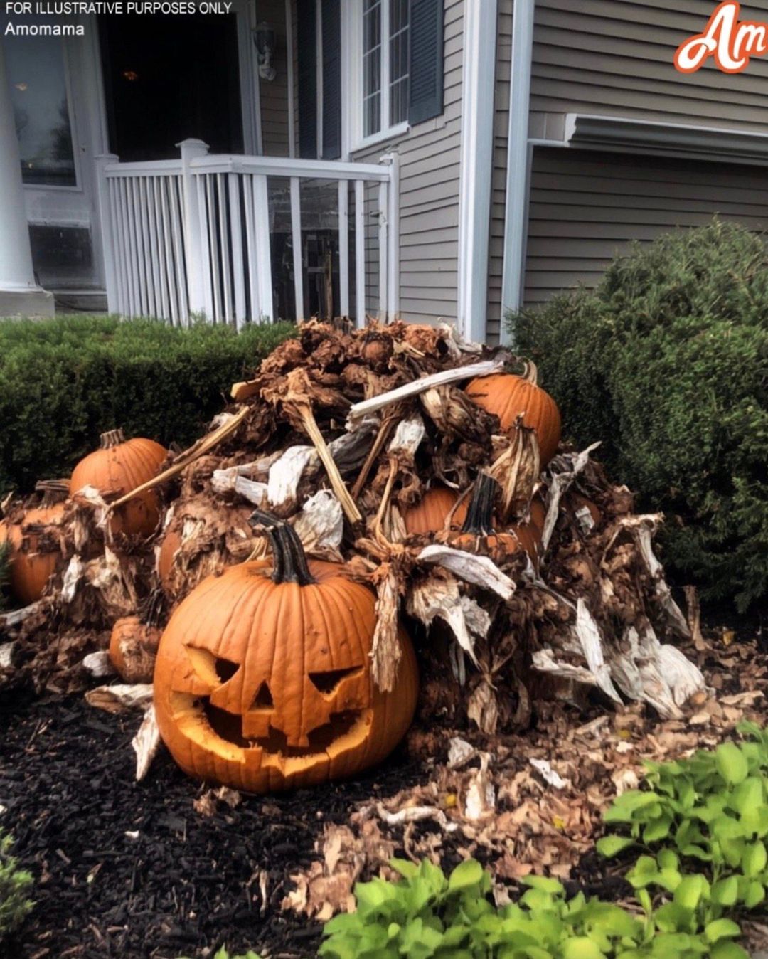 My neighbors tossed their rotting Halloween decorations in my yard, but I taught them a lesson