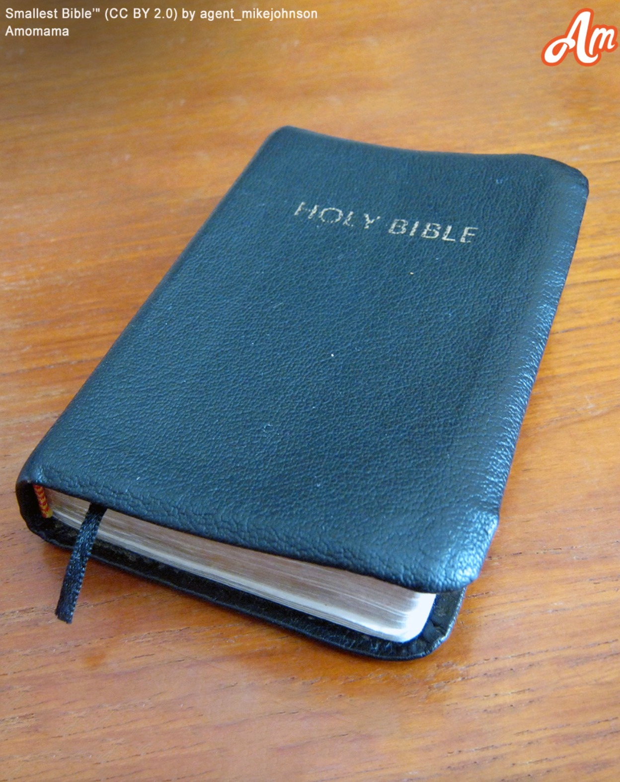 An elderly woman leaves her grandson out of her will, gifting him only a Bible with a note that says, “Open this in tough times”