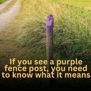 If you see a purple fence post, here’s what it could mean